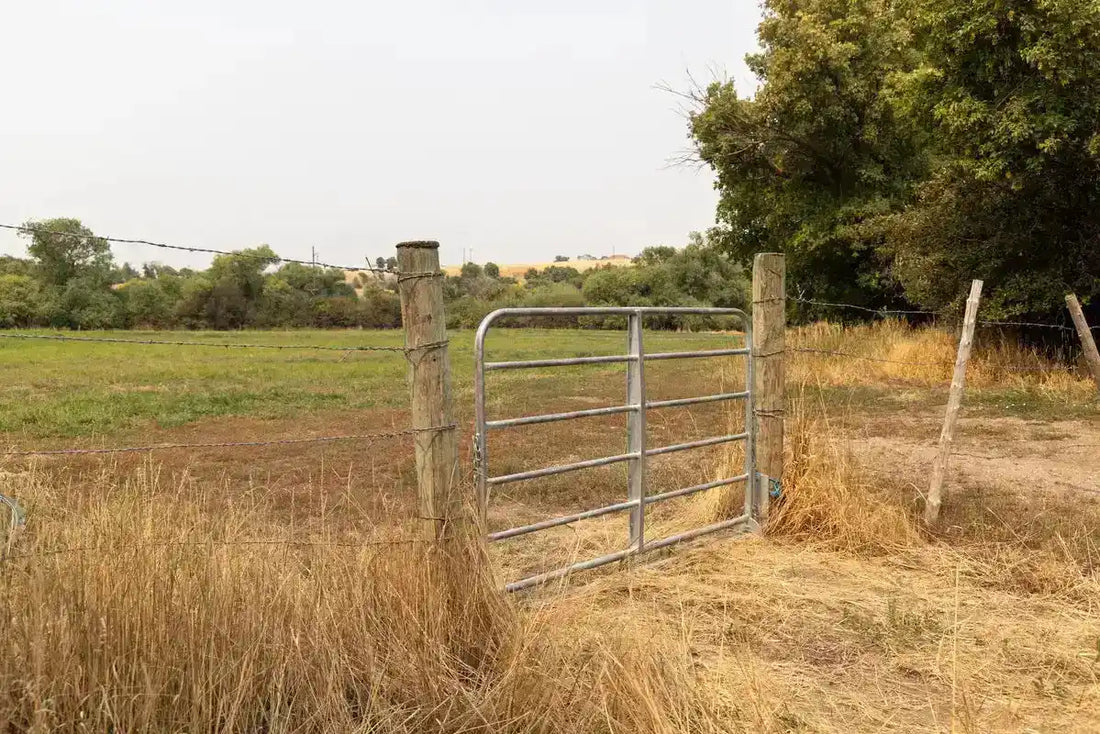 Drive Over Cattle Gate vs. Cattle Guard: Which One Is Right for Your Operation?